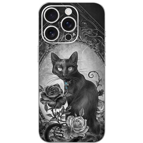 Alchemy Paracelsus - The Philosophers Familiar iPhone 16 Pro Skin